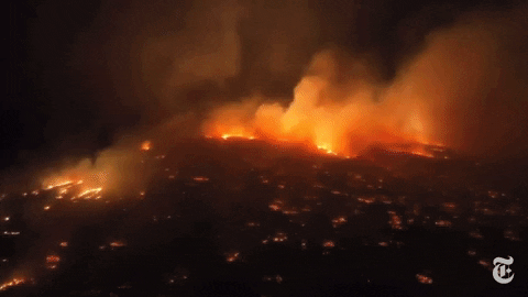 Vụ cháy rừng ở Hawaii: Thảm họa thiên nhiên tàn phá đảo thiên đường, ít nhất 89 người tử vong - Ảnh 1.