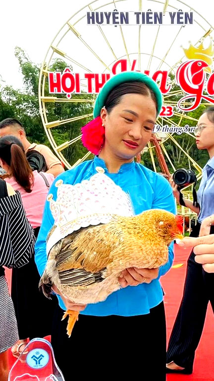 Cuộc thi &quot;Vua gà&quot;, &quot;Hoa hậu gà&quot; tôn vinh người nuôi gà vùng cao - Ảnh 2.
