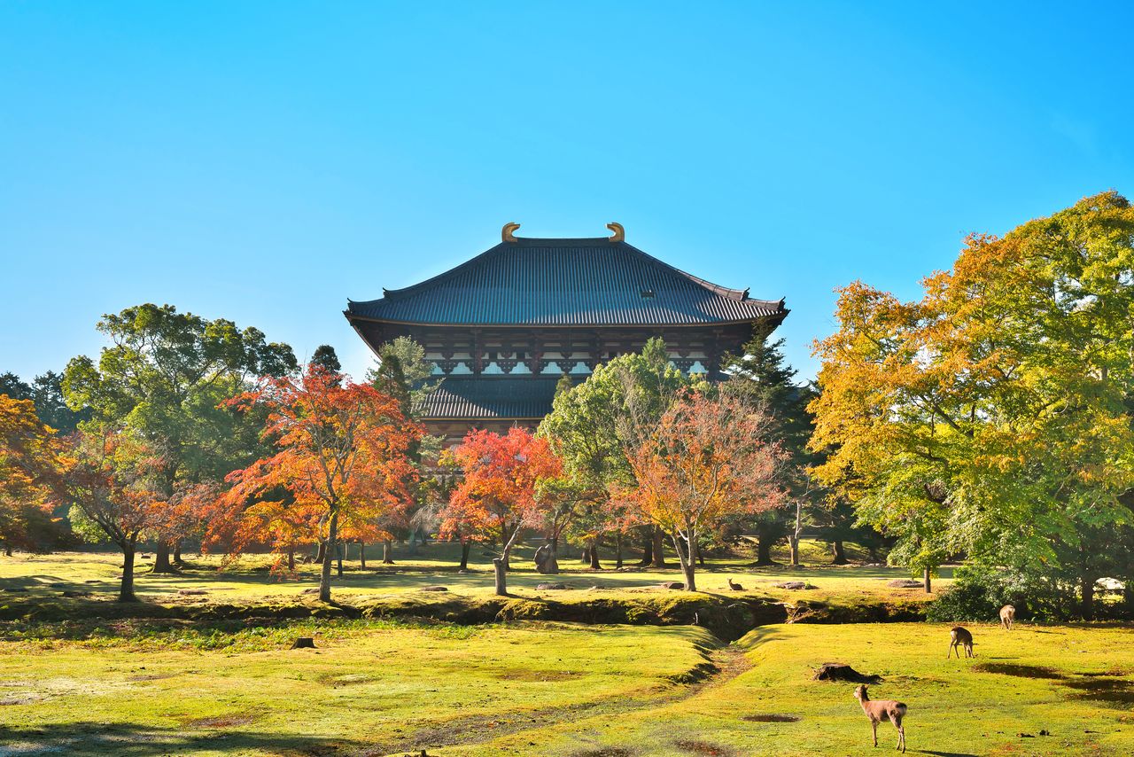 Chùa Tōdaiji: Nơi lưu giữ lịch sử và văn hóa Nhật Bản - Ảnh 14.