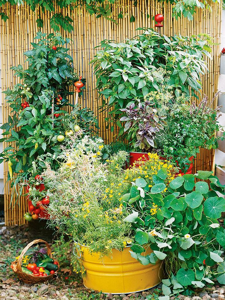 Những ý tưởng cùng mẹo thiết kế vườn rau siêu tuyệt vời giúp không gian nhỏ hẹp cũng thành đáng mơ ước - Ảnh 9.