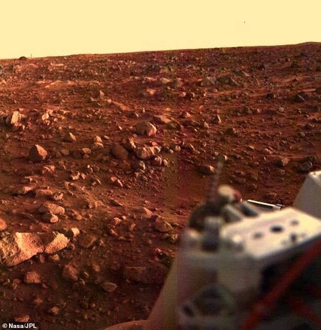Chúng ta có thể đã tìm thấy sự sống trên Sao Hỏa cách đây 50 năm và vô tình giết chết nó! - Ảnh 1.