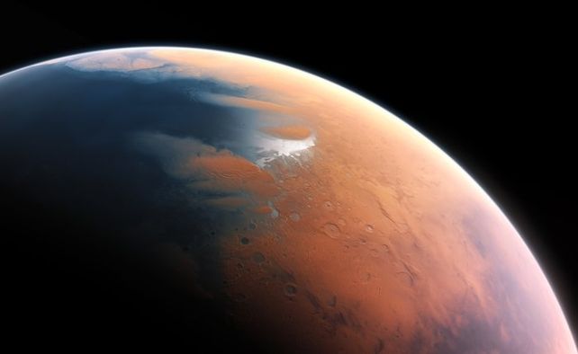 Chúng ta có thể đã tìm thấy sự sống trên Sao Hỏa cách đây 50 năm và vô tình giết chết nó! - Ảnh 3.