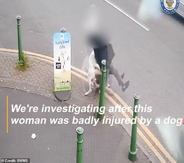 Cụ bà gặp tai nạn bất ngờ khi dắt chó cưng đi dạo khiến cảnh sát lập tức vào cuộc điều tra - Ảnh 3.