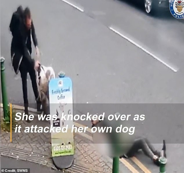 Cụ bà gặp tai nạn bất ngờ khi dắt chó cưng đi dạo khiến cảnh sát lập tức vào cuộc điều tra - Ảnh 2.