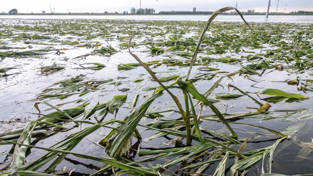 Lũ lụt kỷ lục trong 140 năm nhấm chìm vựa lúa của Trung Quốc - Ảnh 4.
