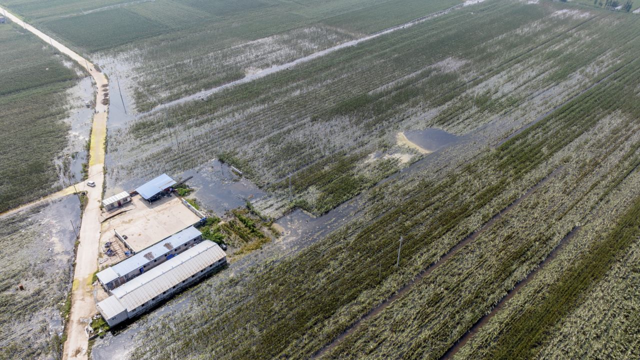 Lũ lụt kỷ lục trong 140 năm nhấm chìm vựa lúa của Trung Quốc - Ảnh 5.