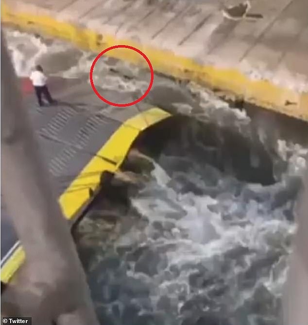 Hành khách đi tàu chết tức tưởi vì bị đẩy xuống biển với lý do &quot;lãng xẹt&quot;, video diễn biến sự việc gây phẫn nộ - Ảnh 6.