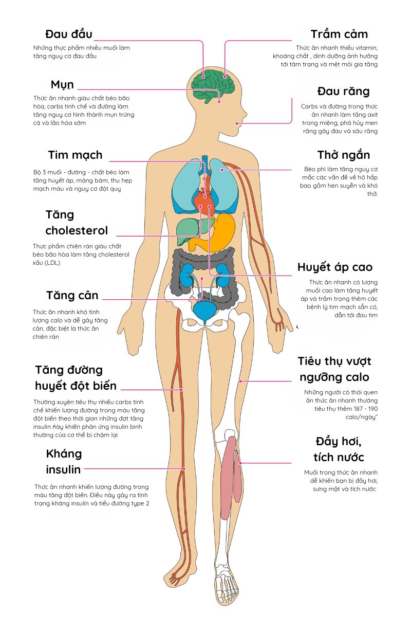 [Infographics] - 8 bộ phận cơ thể bị &quot;bào mòn&quot; như thế nào bởi thức ăn nhanh? - Ảnh 1.