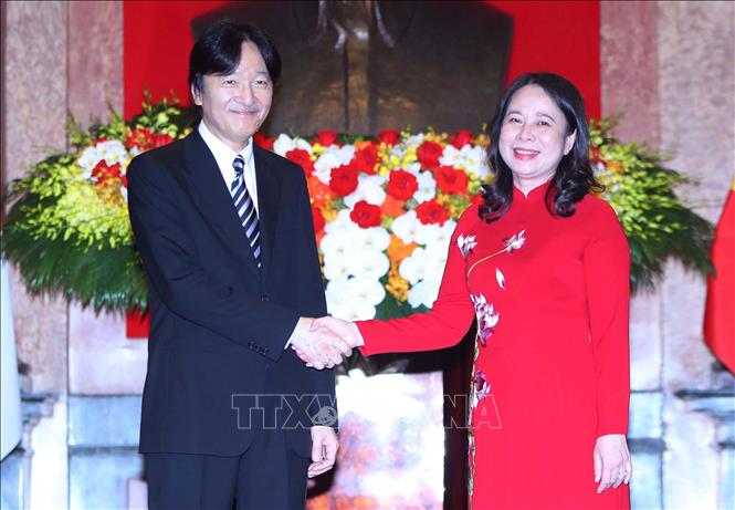Phó Chủ tịch nước Võ Thị Ánh Xuân đón và hội đàm với Hoàng Thái tử Nhật Bản - Ảnh 2.
