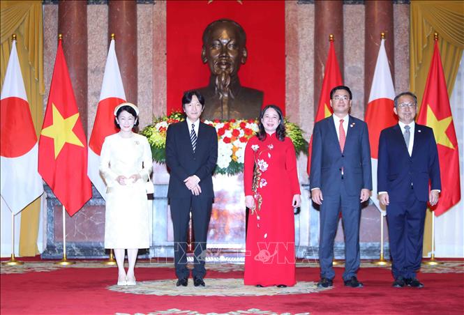 Phó Chủ tịch nước Võ Thị Ánh Xuân đón và hội đàm với Hoàng Thái tử Nhật Bản - Ảnh 4.