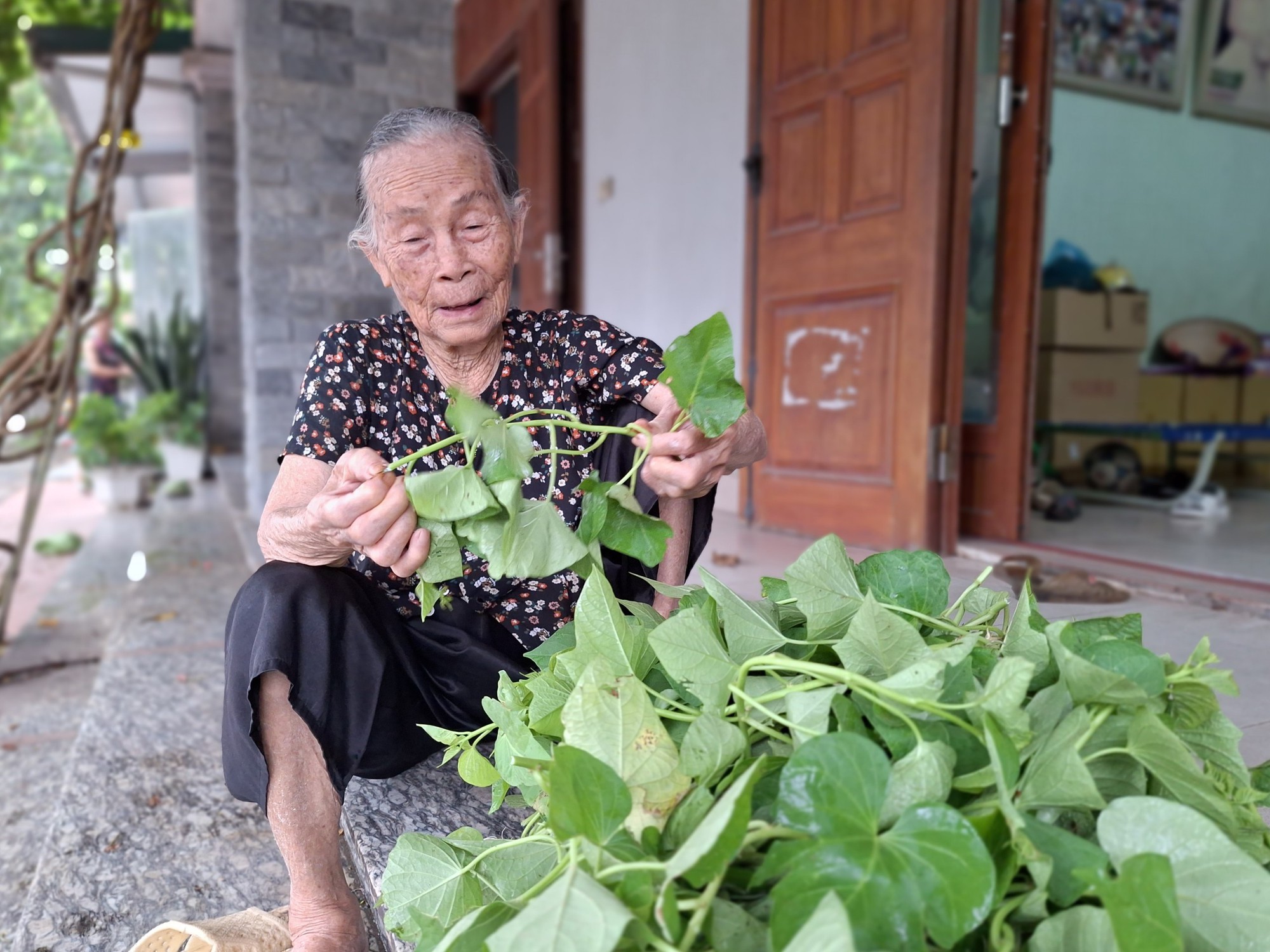 Những người cao tuổi không muốn 