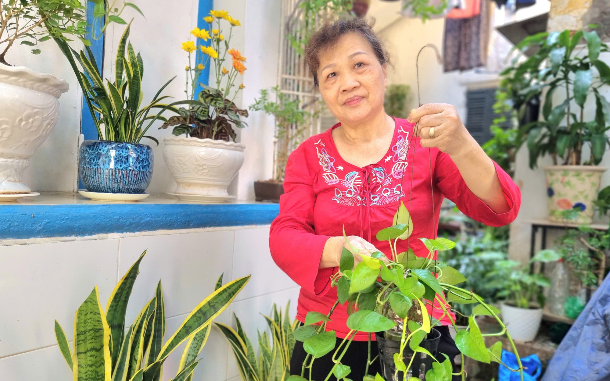 Người phụ nữ tạo 200 chậu cây 