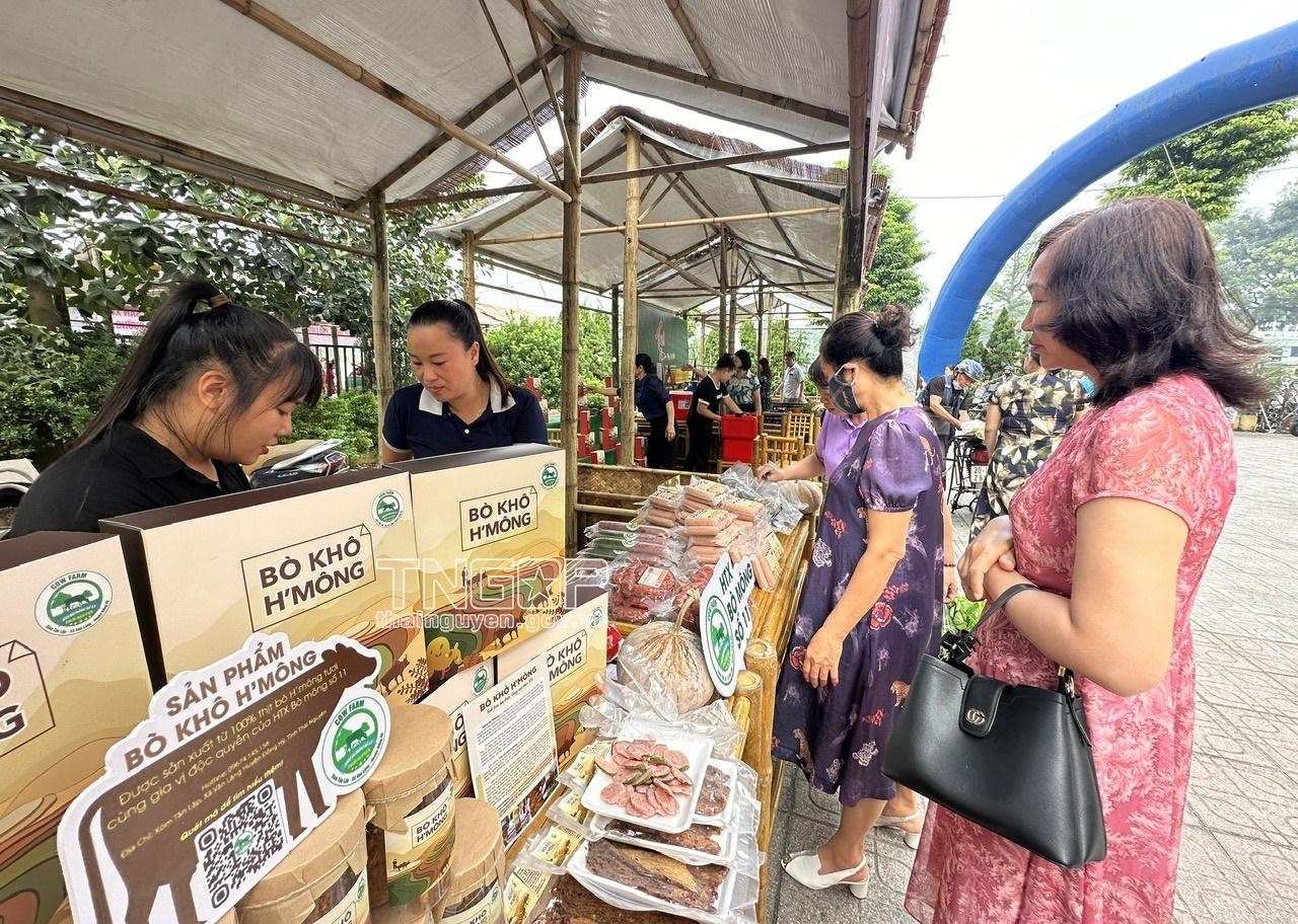 Giao lưu kết nối, giới thiệu mô hình sinh kế hòa nhập cộng đồng cho nạn nhân mua bán người tại Thái Nguyên- Ảnh 3.