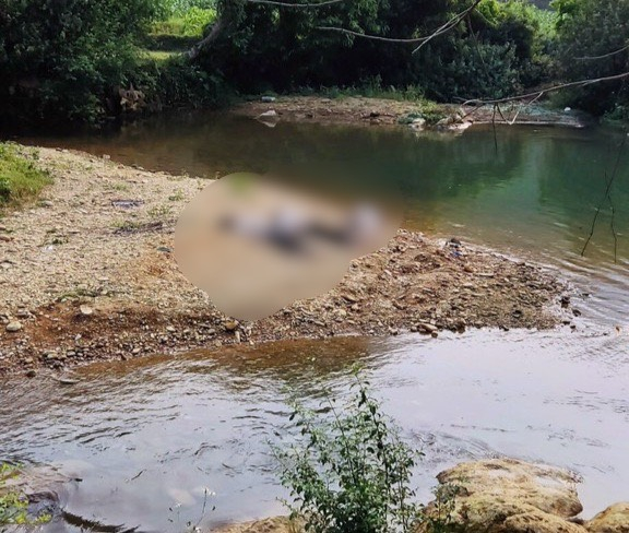 Phát hiện thi thể 2 cháu bé dưới hồ ở Quảng Bình- Ảnh 1.