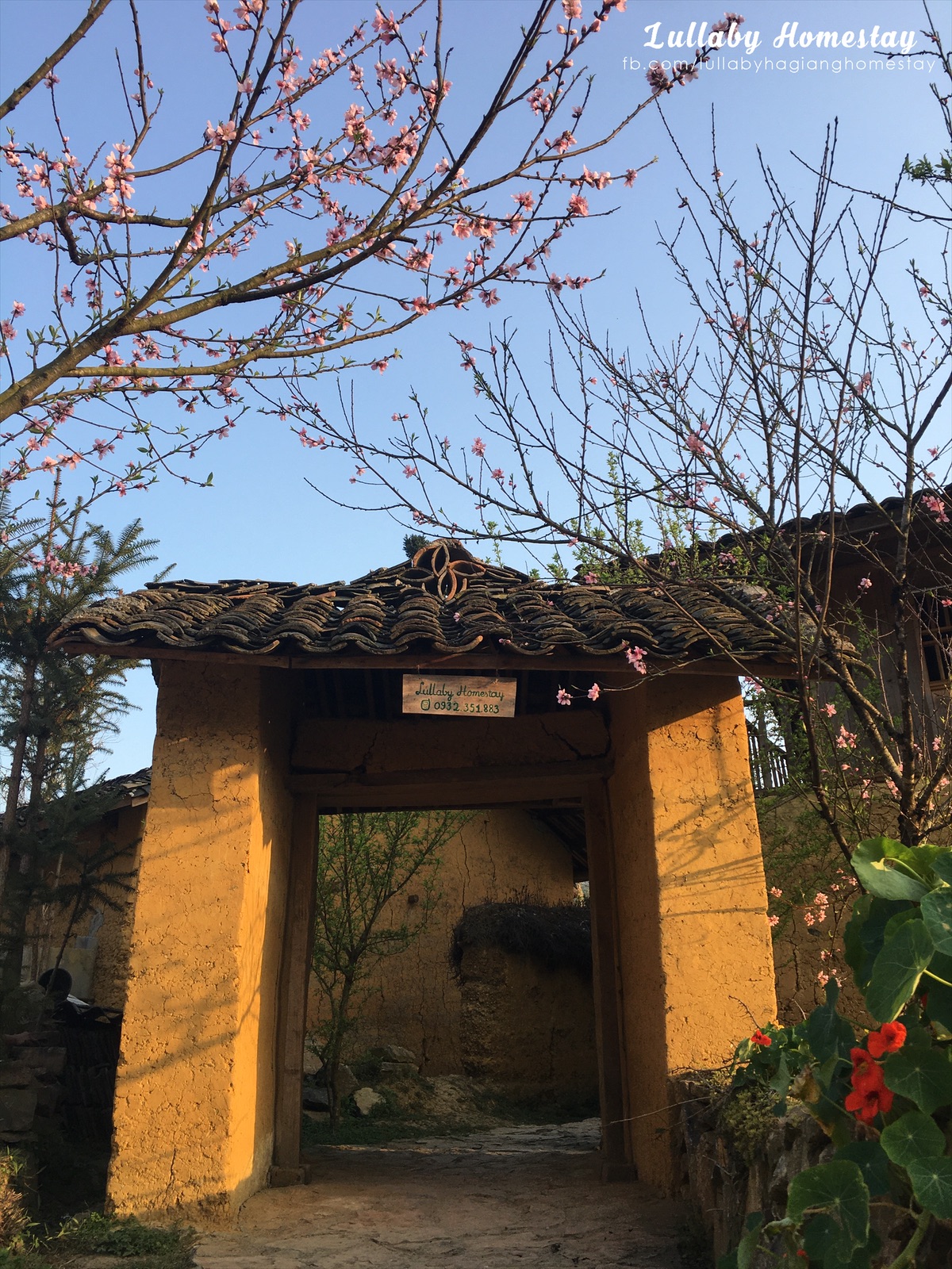 Gadis Hanoi berhenti dari pekerjaannya yang bernilai 350 juta VND/tahun untuk pergi ke Ha Giang dan tinggal di rumah keluarga angkat - Foto 3. Cô gái Hà Nội bỏ việc 350 triệu đồng/năm lên Hà Giang làm homestay- Ảnh 3.