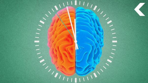 Thời gian trong não bộ trôi chậm hơn 8% khi bạn tập thể dục- Ảnh 2.
