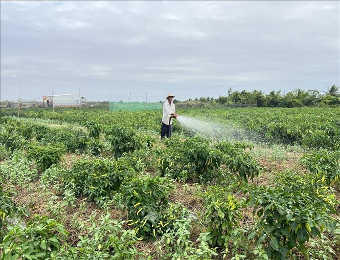 9 điểm mới đối với doanh nghiệp, cơ quan quản lý trong Luật Đất đai 2024- Ảnh 1.