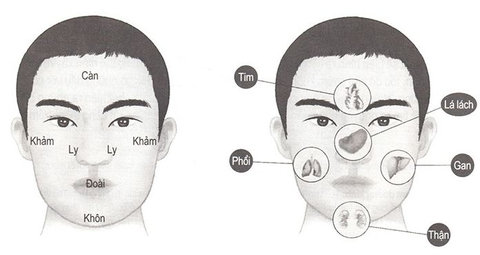 Đỉnh cao công nghệ quét mặt đoán bệnh của Trung Quốc: Nâng khái niệm "diện chẩn" trong Đông Y lên một tầm cao mới- Ảnh 1.