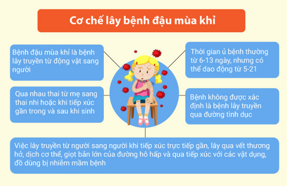 Châu Phi tuyên bố tình trạng khẩn cấp toàn lục địa với bệnh đậu mùa khỉ: Liệu một đại dịch toàn cầu mới có bùng phát?- Ảnh 6.