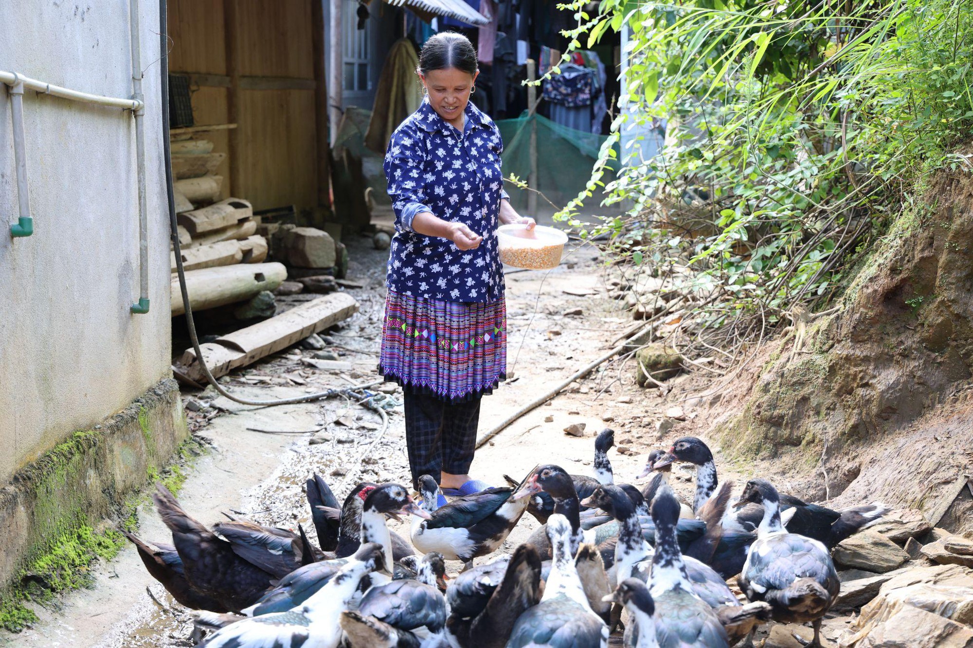 Đổi thay tích cực nhờ vốn vay không lãi suất cho phụ nữ có hoàn cảnh khó khăn tại Lào Cai- Ảnh 1.