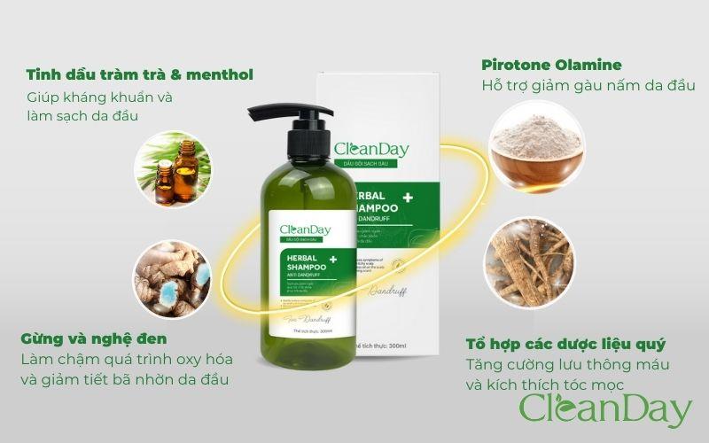 Dầu gội thảo dược CleanDay sạch gàu nuôi dưỡng tóc - Ảnh 1.