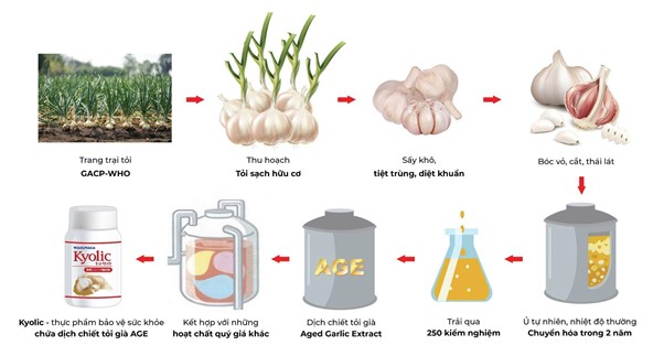 Bí quyết tăng trí nhớ, cải thiện tuần hoàn não của người Nhật- Ảnh 1.