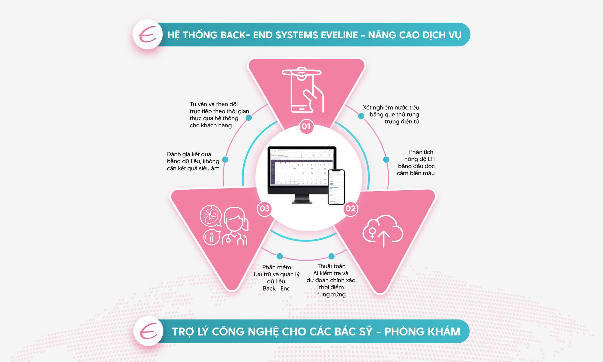 Đánh giá que thử rụng trứng Eveline có chính xác không?- Ảnh 3.