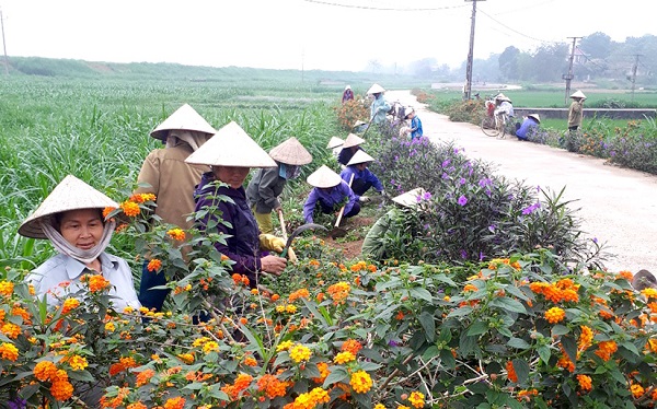 Hành trình bền bỉ 15 năm thực hiện Cuộc vận động “Xây dựng gia đình 5 không, 3 sạch”- Ảnh 6.