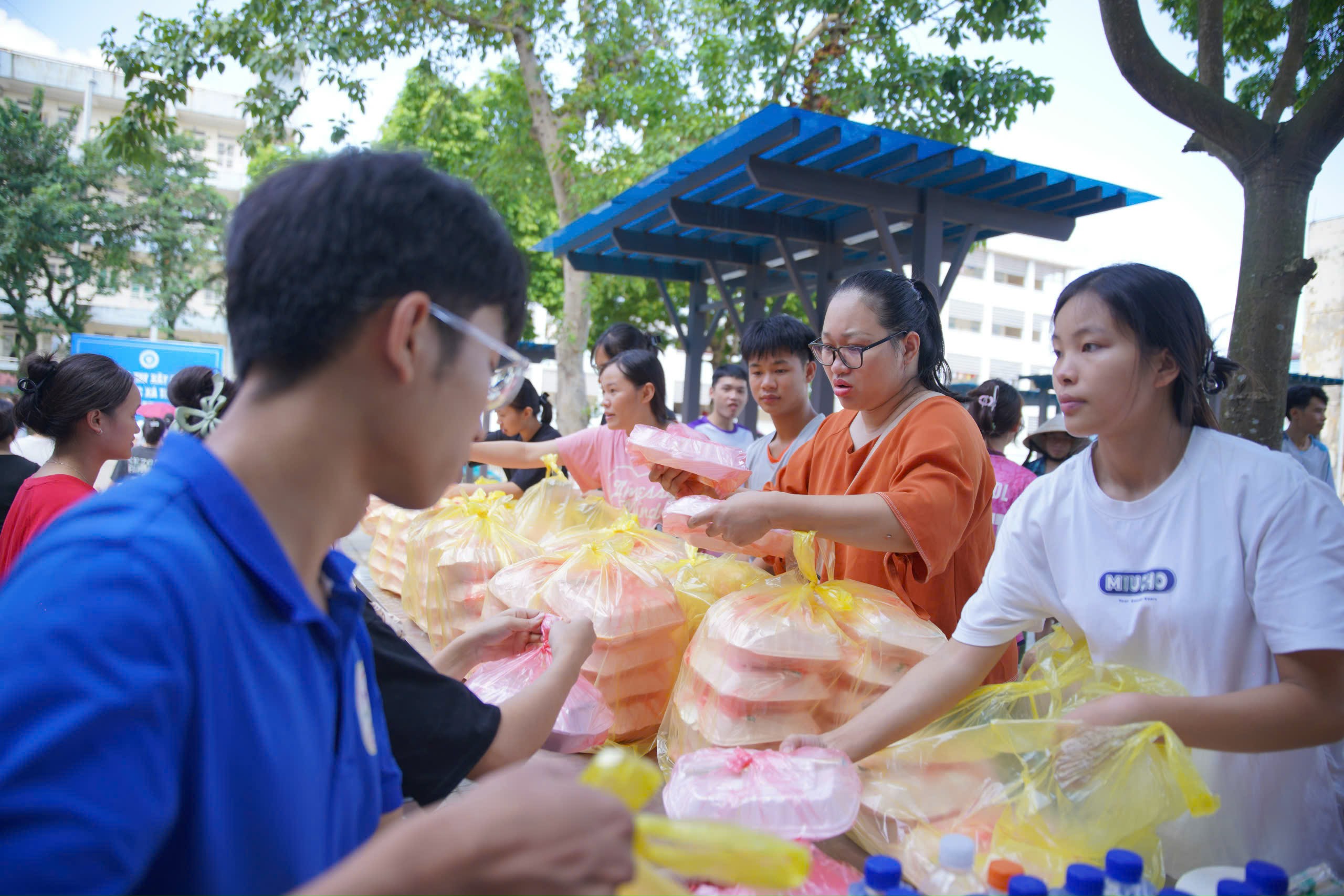 Thực hư thông tin 