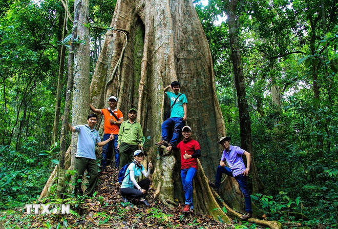 3 công viên Di sản ASEAN mới của Việt Nam có gì hấp dẫn du khách?- Ảnh 2. 3 công viên Di sản ASEAN mới của Việt Nam có gì hấp dẫn du khách?- Ảnh 2.
