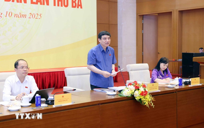 Thể chế hóa nội dung sử dụng một bộ sách giáo khoa thống nhất- Ảnh 2.
