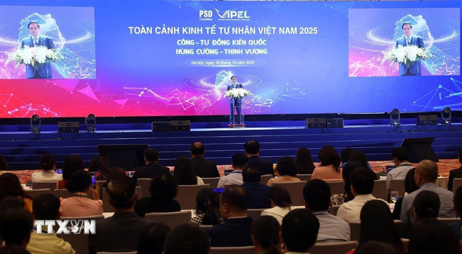 Phát triển kinh tế tư nhân: Từ khát vọng vươn lên đến quyết tâm hành động- Ảnh 1.