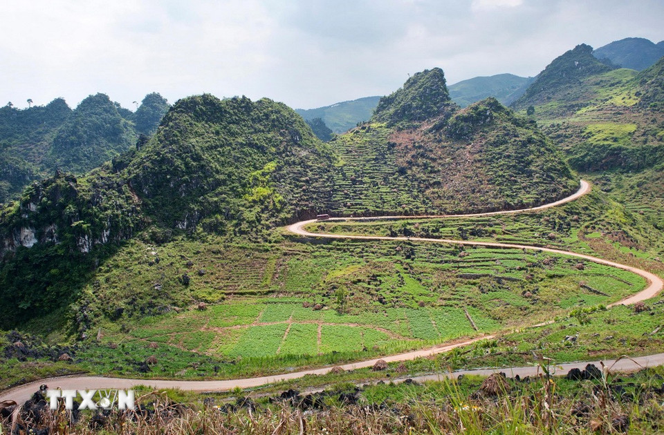 Chiêm ngưỡng Cao nguyên đá Đồng Văn - Điểm đến văn hóa khu vực hàng đầu châu Á- Ảnh 2. Chiêm ngưỡng Cao nguyên đá Đồng Văn - Điểm đến văn hóa khu vực hàng đầu châu Á- Ảnh 2.