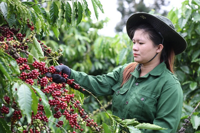 Phát triển nông nghiệp xanh: Cần nguồn vốn khởi động đủ mạnh- Ảnh 1. Phát triển nông nghiệp xanh: Cần nguồn vốn khởi động đủ mạnh- Ảnh 1.