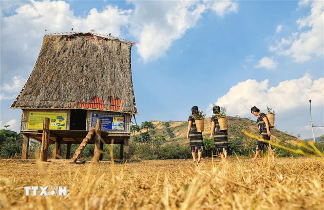 Bảo tồn nhà rông của người Ba Na: Giữ hồn dân tộc giữa lòng phố thị- Ảnh 8. Bảo tồn nhà rông của người Ba Na: Giữ hồn dân tộc giữa lòng phố thị- Ảnh 8.