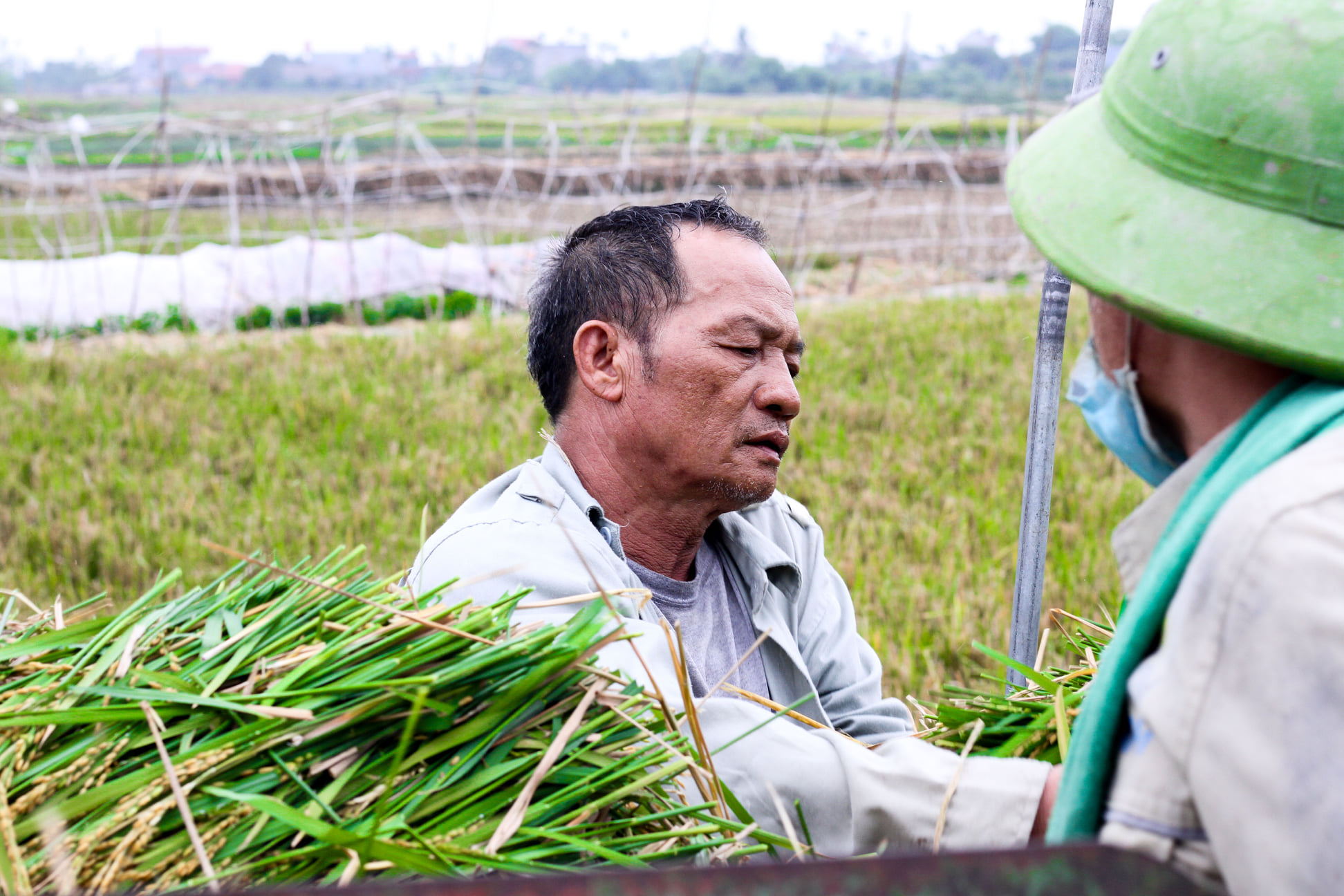 An sinh xã hội cho lao động phi chính thức 
Bài 2: Rào cản ngăn lao động phi chính thức đến gần “lưới an sinh xã hội”- Ảnh 2. An sinh xã hội cho lao động phi chính thức 
Bài 2: Rào cản ngăn lao động phi chính thức đến gần “lưới an sinh xã hội”- Ảnh 2.