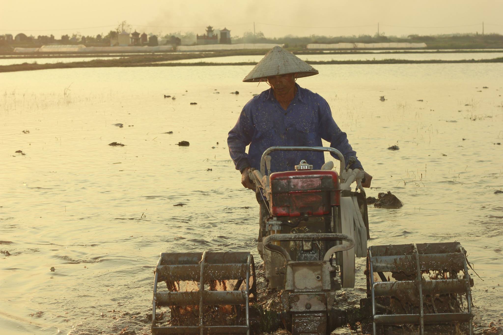 An sinh xã hội cho lao động phi chính thức 
Bài 2: Rào cản ngăn lao động phi chính thức đến gần “lưới an sinh xã hội”- Ảnh 3. An sinh xã hội cho lao động phi chính thức 
Bài 2: Rào cản ngăn lao động phi chính thức đến gần “lưới an sinh xã hội”- Ảnh 3.