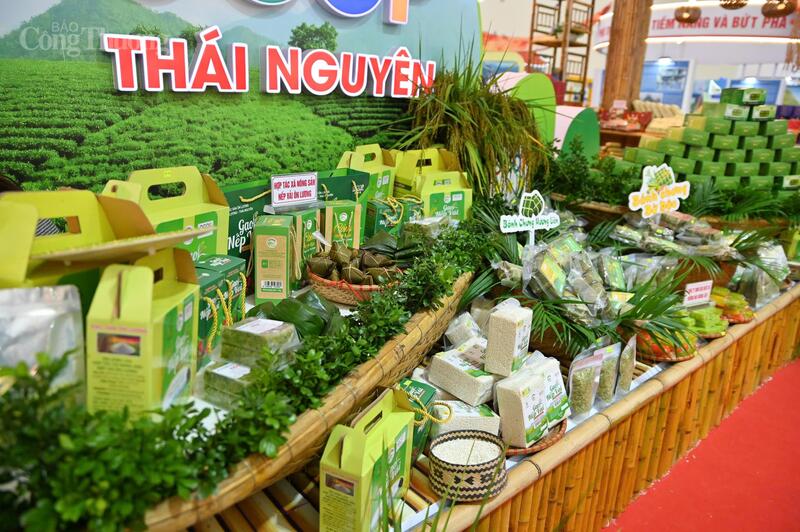 Tiếp sức cho sản phẩm vùng đồng bào dân tộc thiểu số và miền núi khẳng định vị thế thương hiệu trên bản đồ thương mại quốc gia- Ảnh 9. Tiếp sức cho sản phẩm vùng đồng bào dân tộc thiểu số và miền núi khẳng định vị thế thương hiệu trên bản đồ thương mại quốc gia- Ảnh 9.