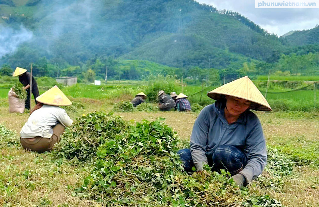 Người phụ nữ Tày “vượt cạn” thông tin, số hoá nông sản xứ Lạng- Ảnh 9. Người phụ nữ Tày “vượt cạn” thông tin, số hoá nông sản xứ Lạng- Ảnh 9.