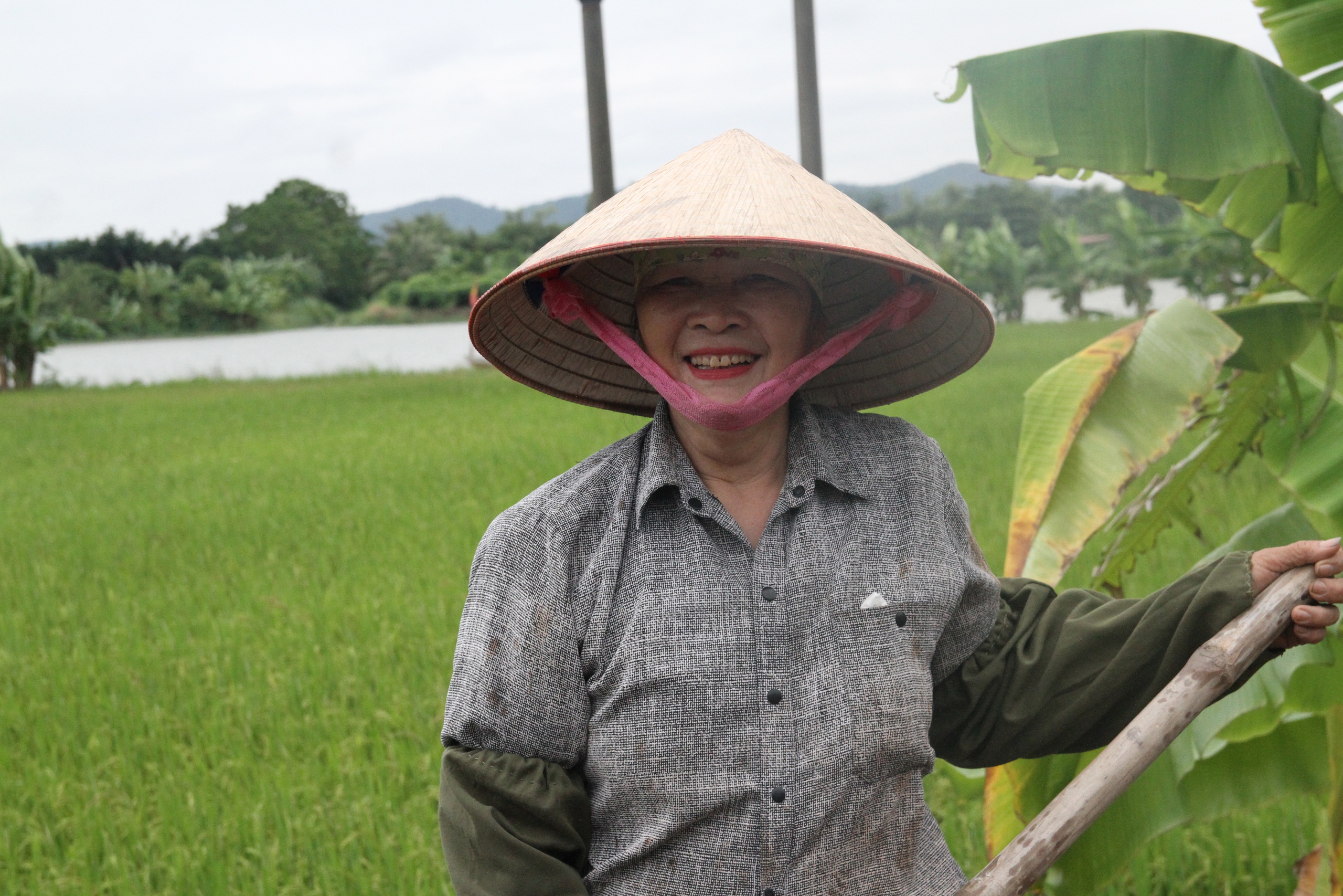 An sinh xã hội cho lao động phi chính thức Bài cuối: Đưa lao động phi chính thức đến gần “lưới an sinh xã hội”- Ảnh 6. An sinh xã hội cho lao động phi chính thức Bài cuối: Đưa lao động phi chính thức đến gần “lưới an sinh xã hội”- Ảnh 6.