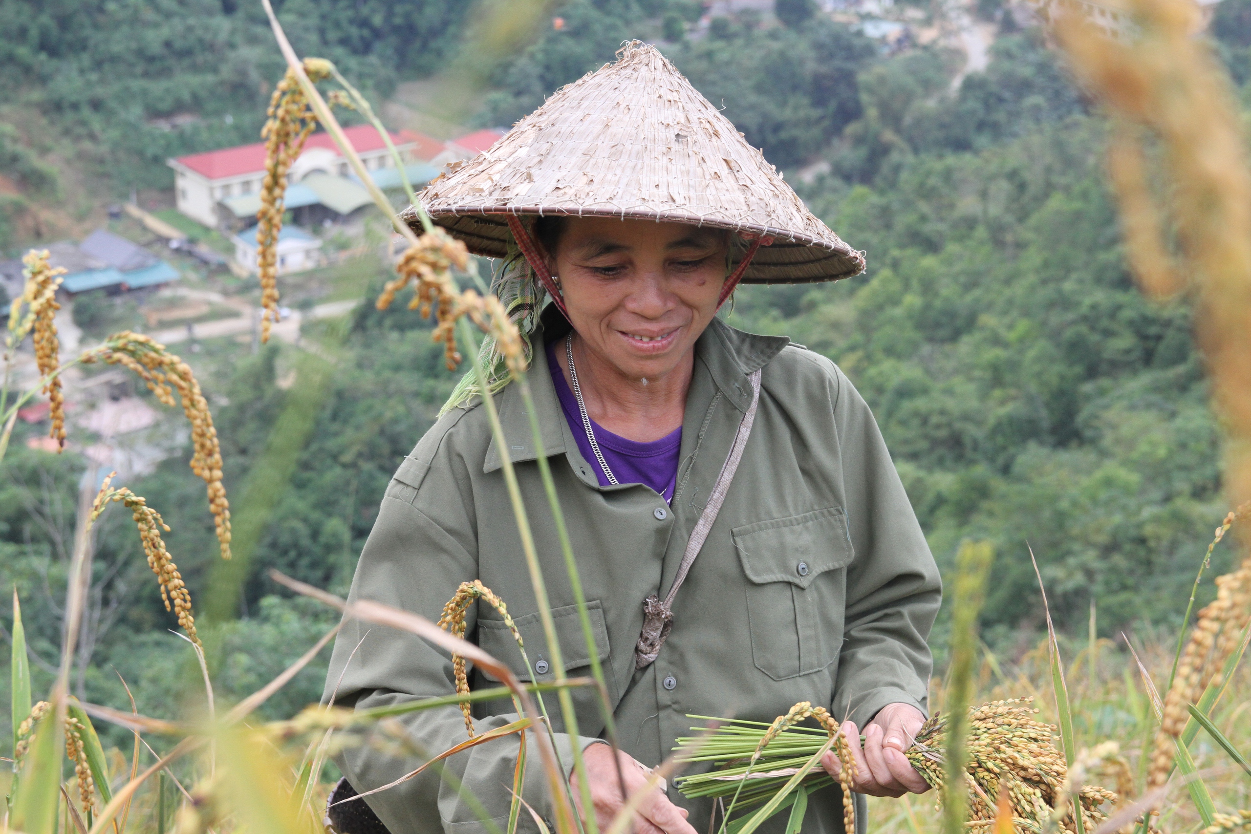 An sinh xã hội cho lao động phi chính thức Bài cuối: Đưa lao động phi chính thức đến gần “lưới an sinh xã hội”- Ảnh 7. An sinh xã hội cho lao động phi chính thức Bài cuối: Đưa lao động phi chính thức đến gần “lưới an sinh xã hội”- Ảnh 7.
