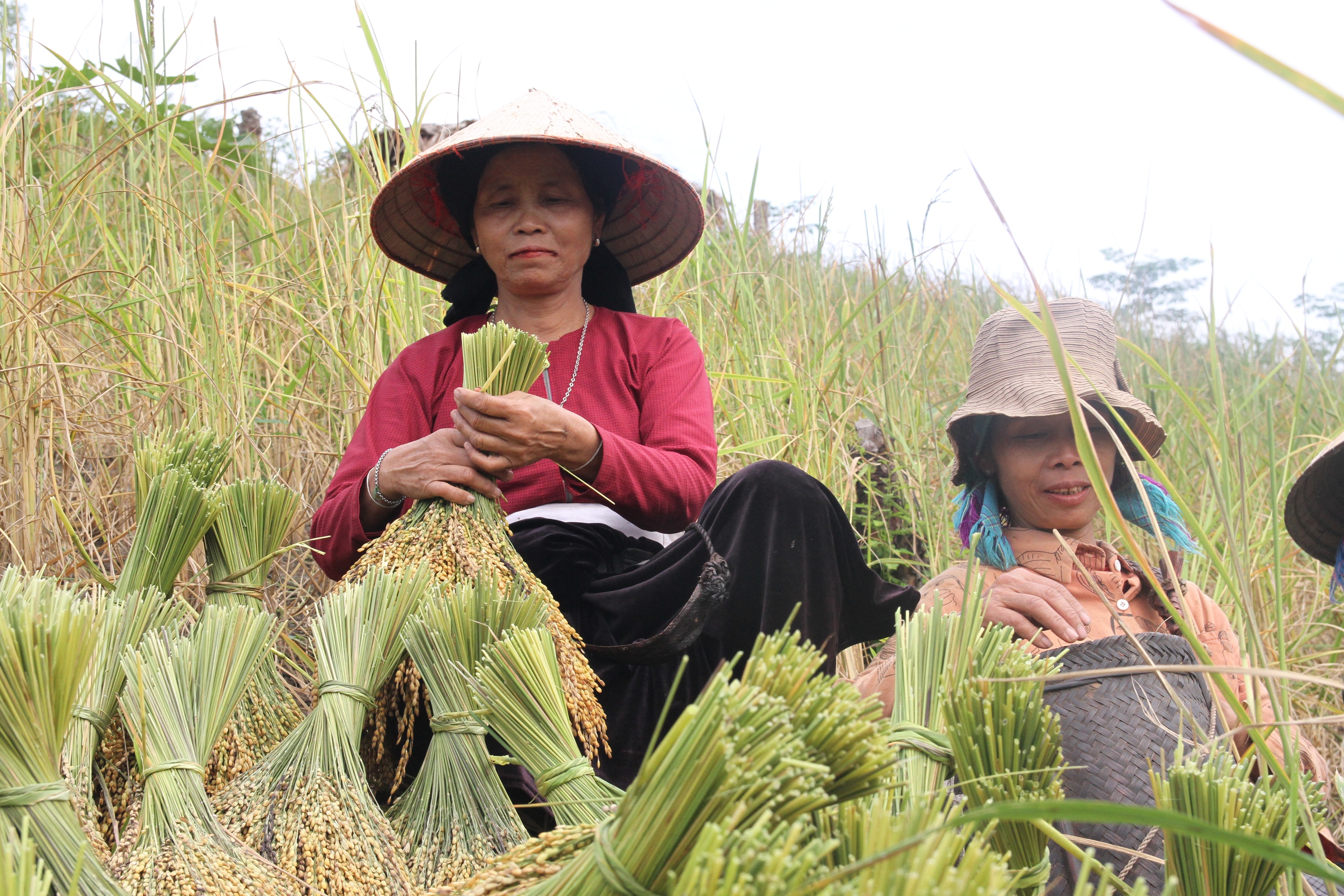 An sinh xã hội cho lao động phi chính thức Bài cuối: Đưa lao động phi chính thức đến gần “lưới an sinh xã hội”- Ảnh 10. An sinh xã hội cho lao động phi chính thức Bài cuối: Đưa lao động phi chính thức đến gần “lưới an sinh xã hội”- Ảnh 10.