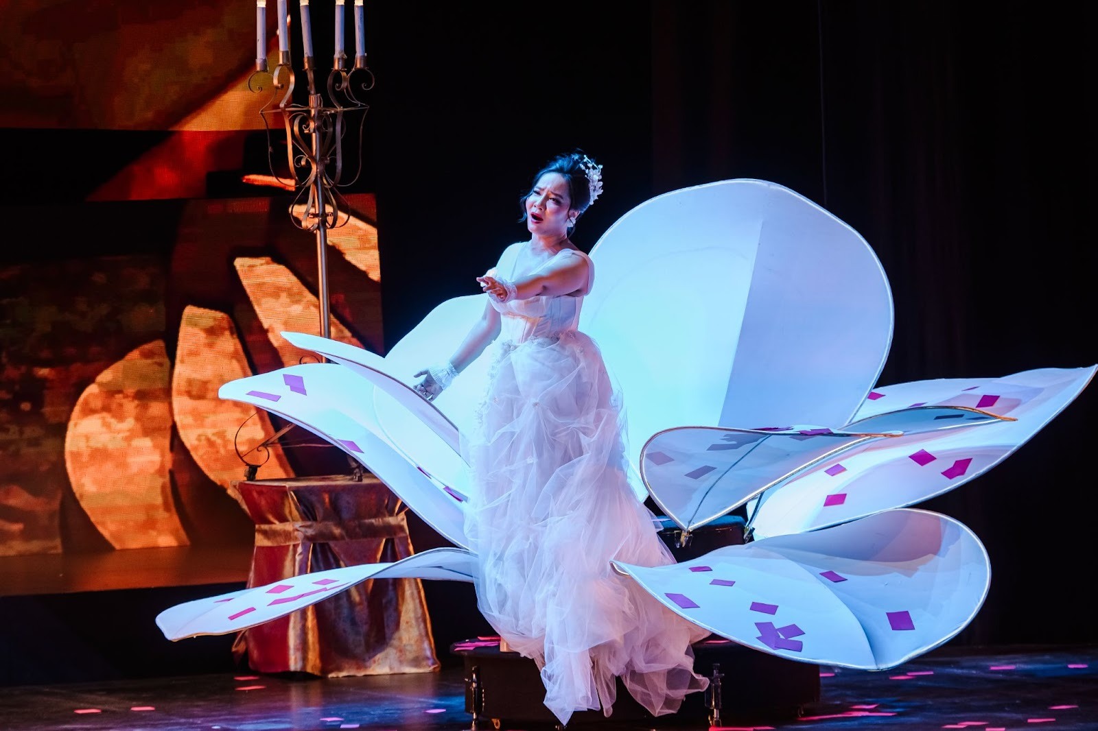 Khán giả Hà Nội đắm chìm trong bản tình ca bi tráng La Traviata- Ảnh 4.