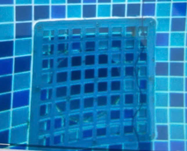 Gia đình bé trai người Nhật đuối nước tại Phan Thiết kiến nghị khởi tố bị can- Ảnh 3. Gia đình bé trai người Nhật đuối nước tại Phan Thiết kiến nghị khởi tố bị can- Ảnh 3.