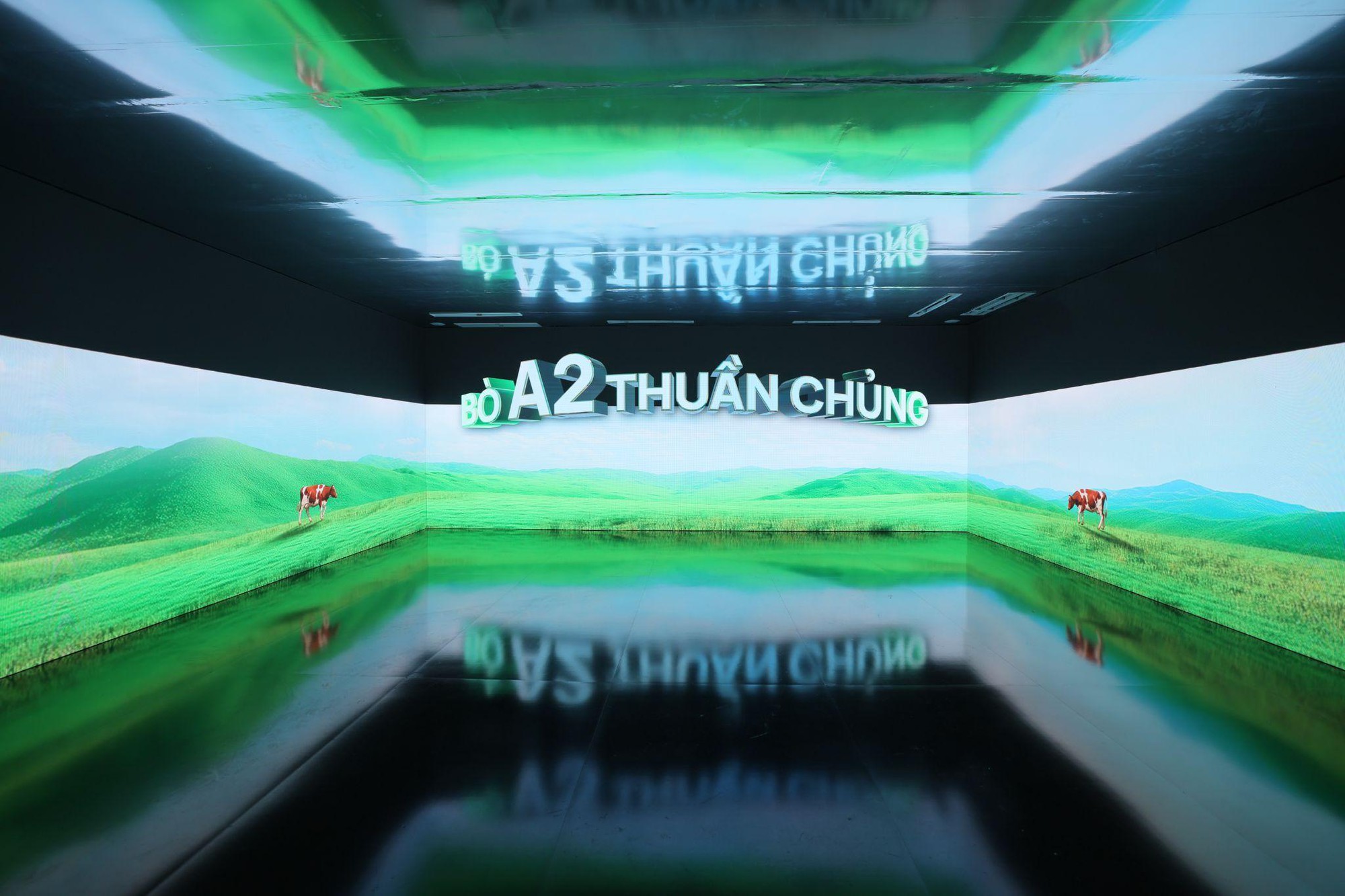 Nutifood chính thức ra mắt hai dòng sản phẩm GippsNature & Nutifood Australia tại Việt Nam- Ảnh 2. Nutifood chính thức ra mắt hai dòng sản phẩm GippsNature & Nutifood Australia tại Việt Nam- Ảnh 2.