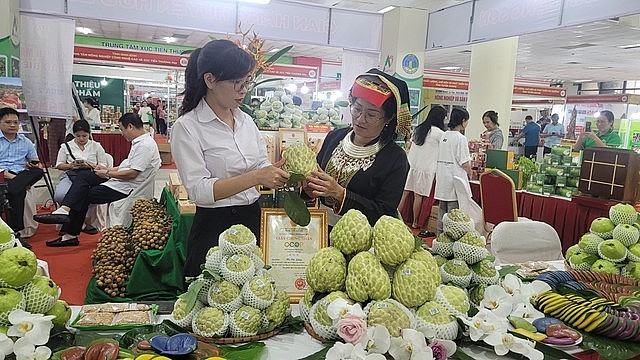 "Chợ an toàn thực phẩm" thúc đẩy tiêu thụ sản phẩm miền núi, vùng sâu, vùng xa và hải đảo- Ảnh 2.