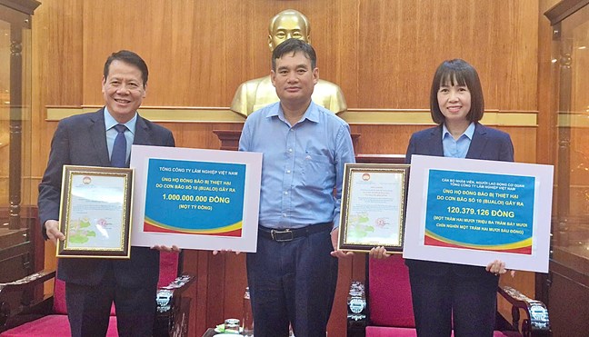 Thông tin gia đình nhận phân bổ hỗ trợ sẽ được niêm yết tại trụ sở thôn để nhân dân cùng giám sát- Ảnh 6.