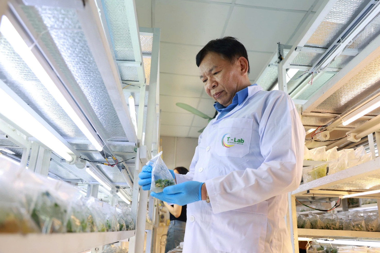 9 nữ nông dân được vinh danh xuất sắc năm 2025- Ảnh 3. 9 nữ nông dân được vinh danh xuất sắc năm 2025- Ảnh 3.
