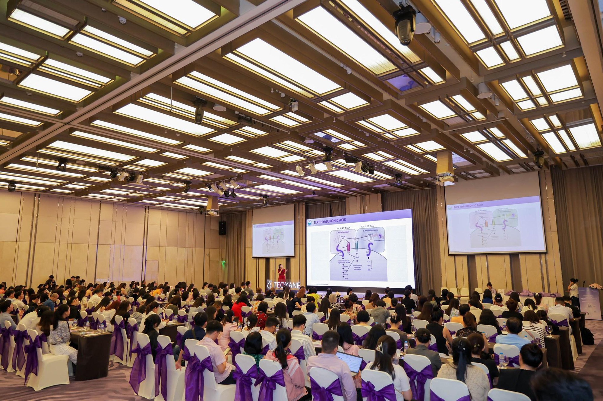 Teoxane ra mắt [R] Advanced Serum – Tinh chất cải thiện làn da lão hóa, an toàn cho da nhạy cảm- Ảnh 3.