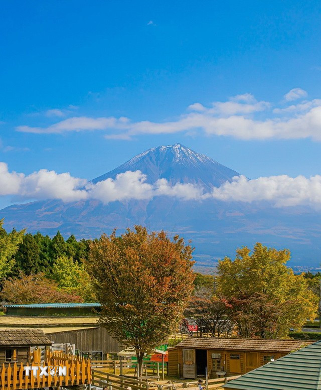 Nhật Bản: Sắc Thu rực rỡ của vùng núi Phú Sĩ trong tiết trời se lạnh đầu Đông- Ảnh 1.